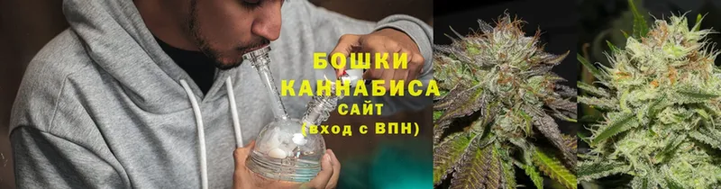 Конопля OG Kush  Октябрьский 